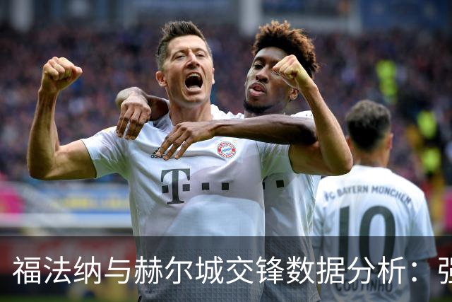 福法纳与赫尔城交锋数据分析：强劲表现与需改进之处
